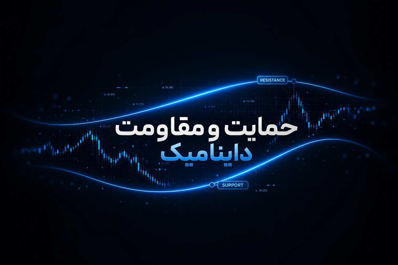 حمایت و مقاومت داینامیک